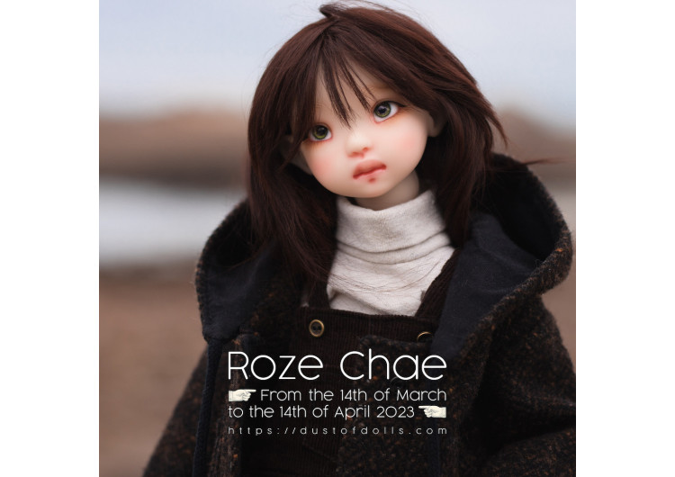 ❤︎ Roze Chae ❤︎ preorder pêche